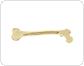 parts of a long bone