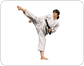 karateka image