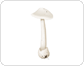 deadly poisonous mushroom