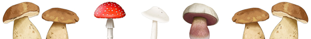 Banner edible mushrooms