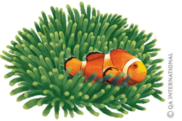 The clownfish and the sea anemone