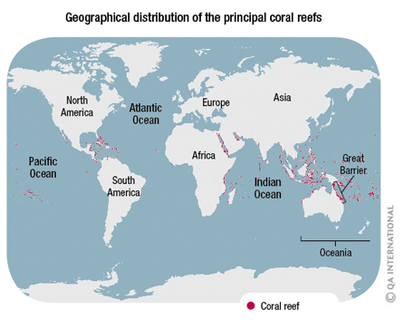 Free Printable Map Of Coral Reef Biome