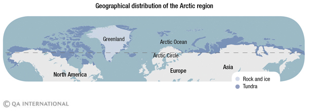 Geographical distribution of the Arctic region