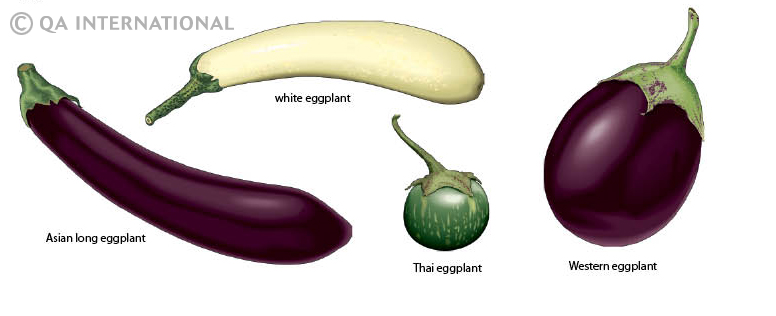 Eggplants