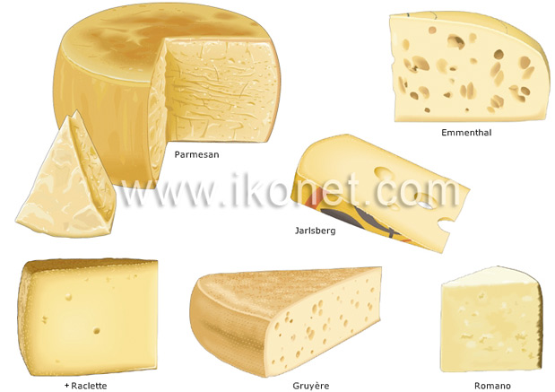 French Cheese Chart