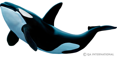 The orca