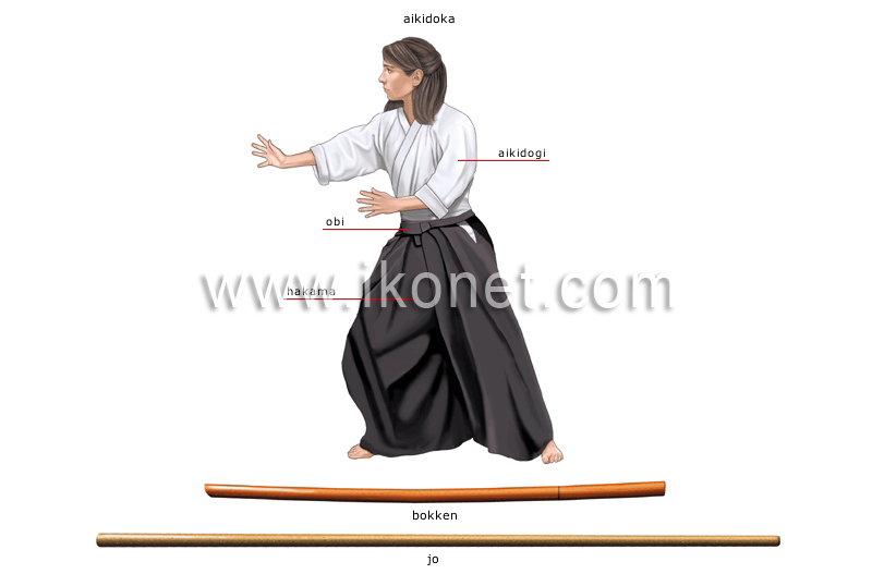 aikido image