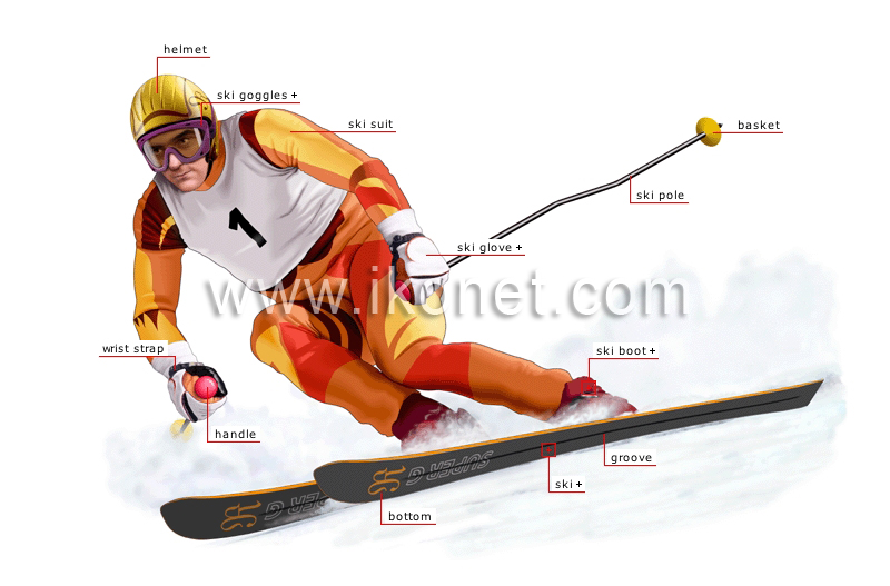 alpine skier image