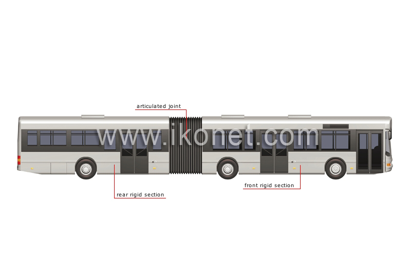 articulated bus image