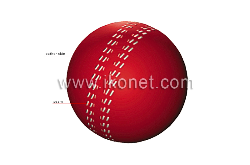 cricket ball image