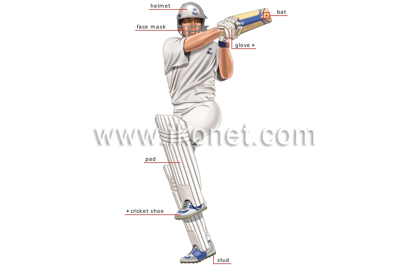 cricket player: batsman image