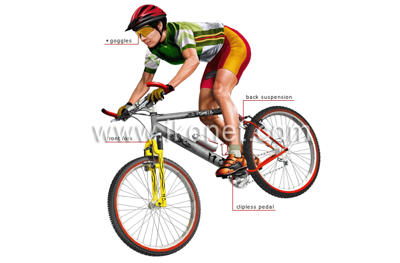 cross-country bicycle and cyclist image