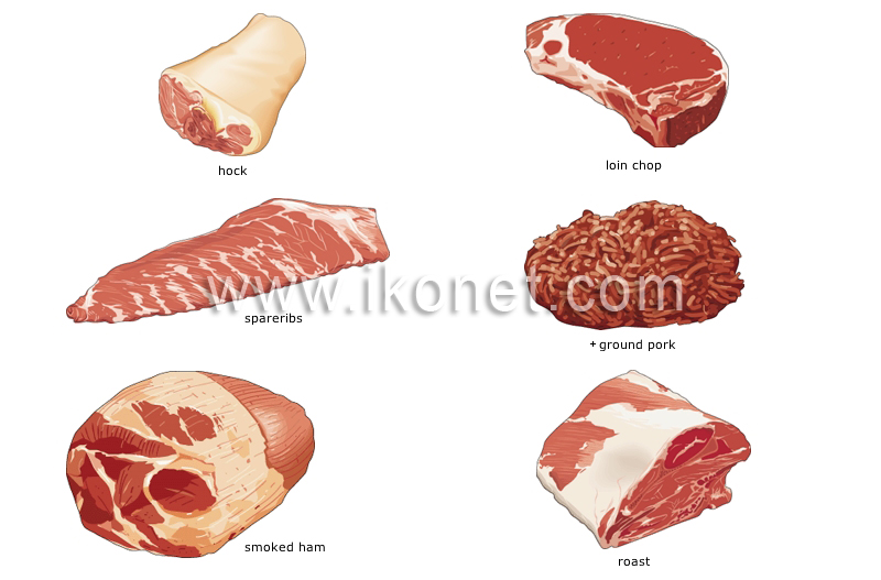 cuts of pork image
