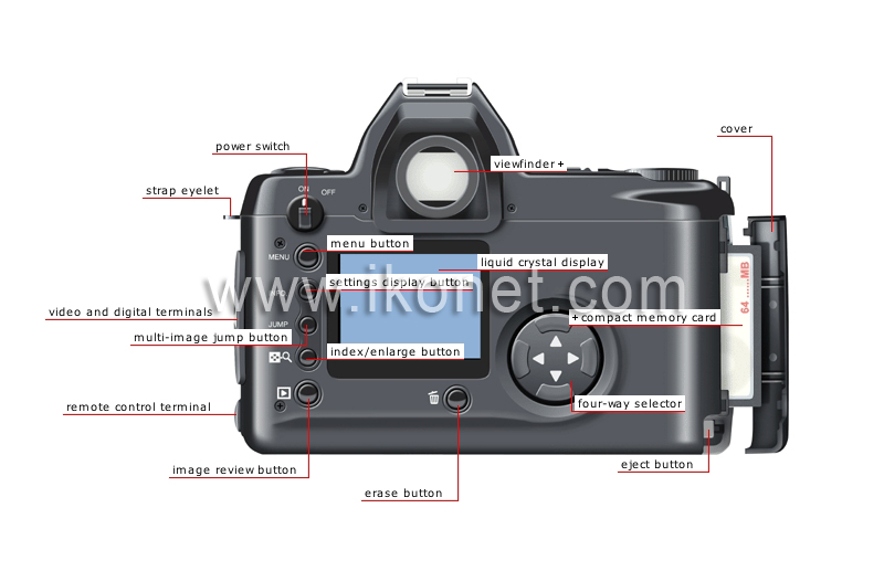 digital reflex camera: camera back image