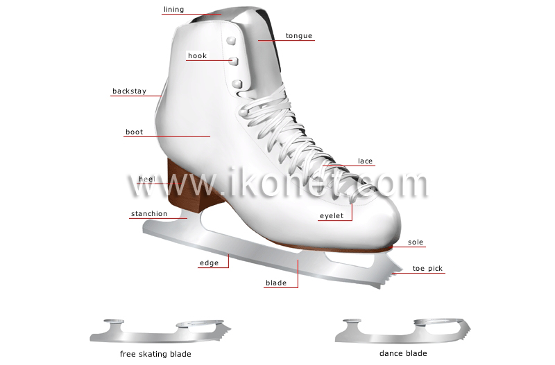 figure skate image