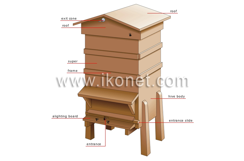 hive image