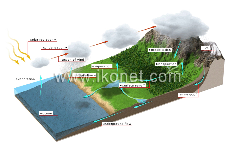 hydrologic cycle image