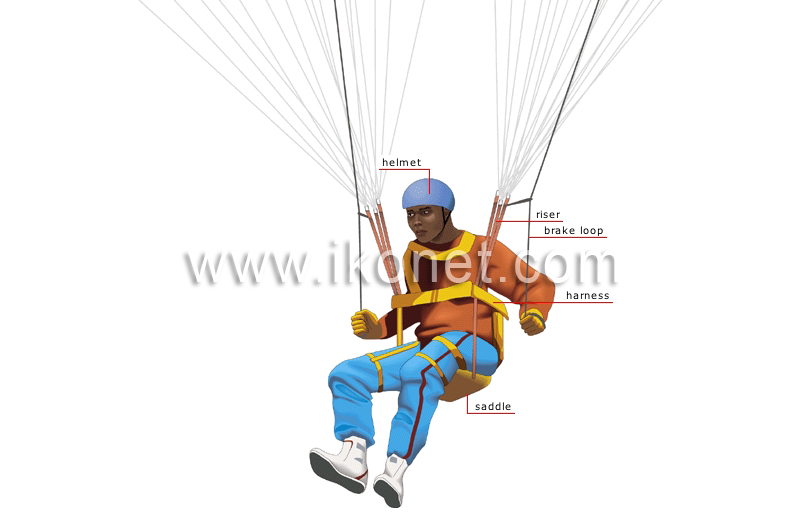 paragliding pilot image