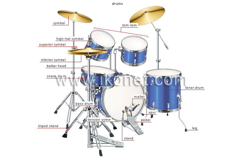 percussion instruments image