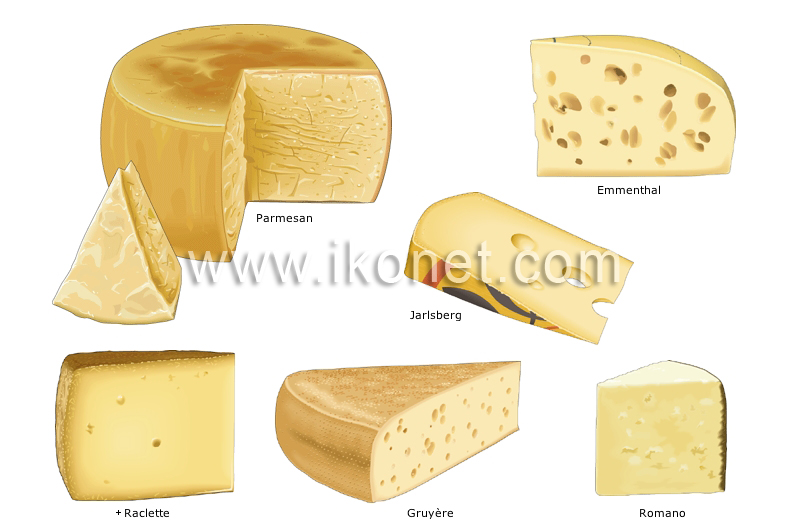 pressed cheeses image