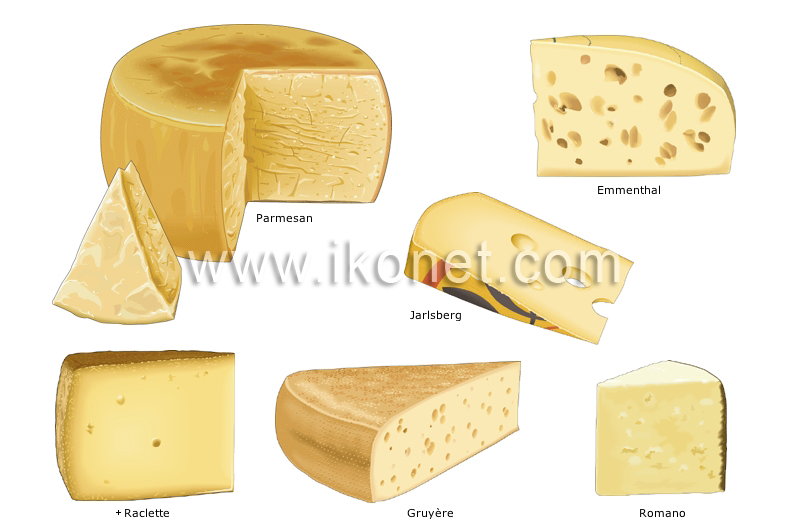 pressed cheeses image