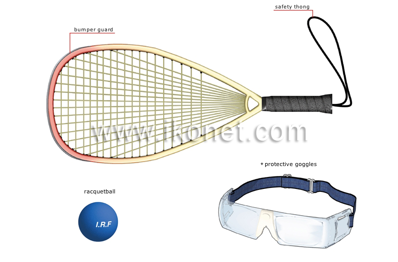 sports and games > racket sports > racquetball > racquetball racket image -  Visual Dictionary