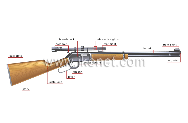 rifle (rifled bore) image