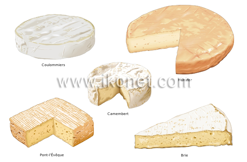 List of cheeses, Hardness, Ripening, & Types