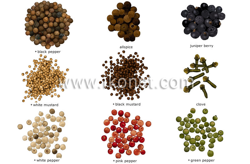 spices image