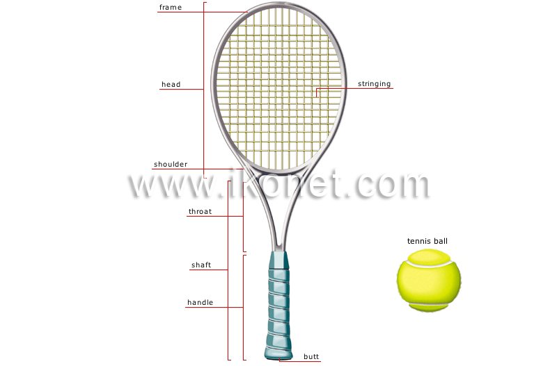 tennis racket image