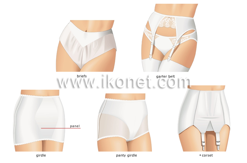 underwear image
