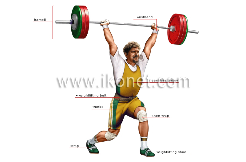 weightlifting image