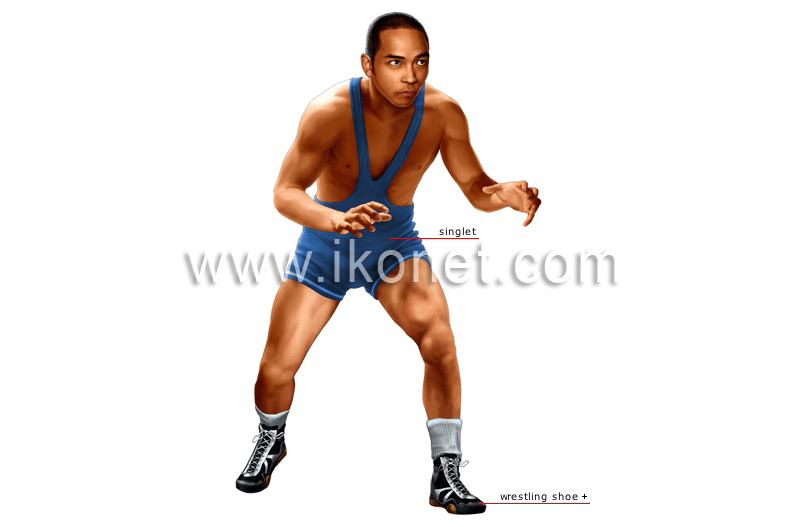 wrestler image