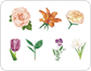 ejemplos de flores image