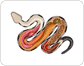 anatomía de una serpiente venenosa image