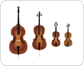 familia de los violines image