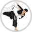 judo image