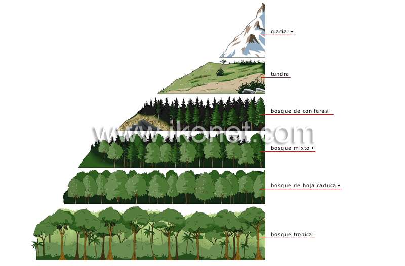 altitud y vegetación image