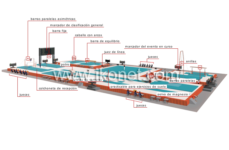 área de competición image