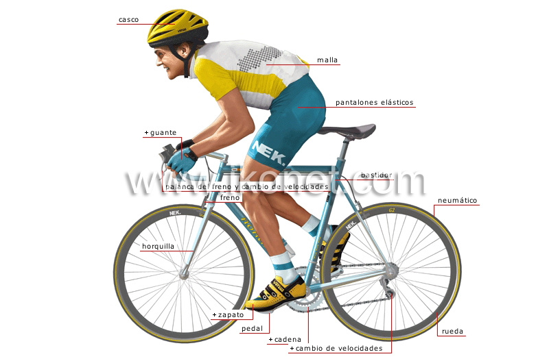 bicicleta de carreras y ciclista image