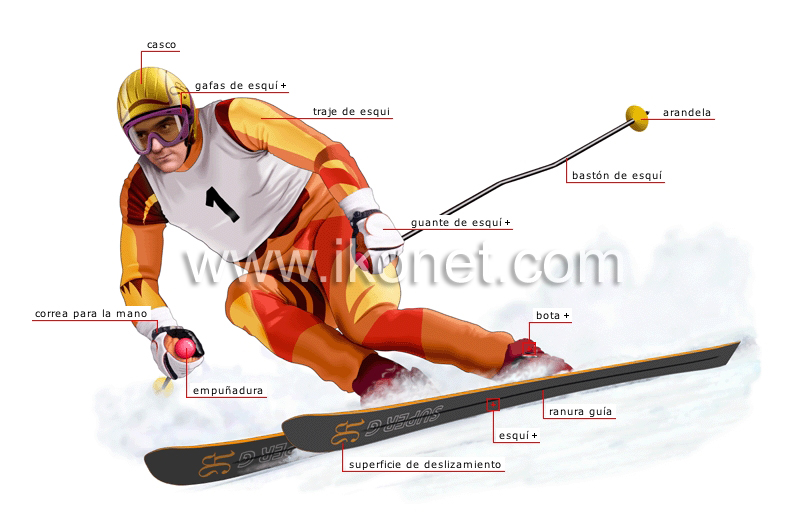 esquiador alpino image