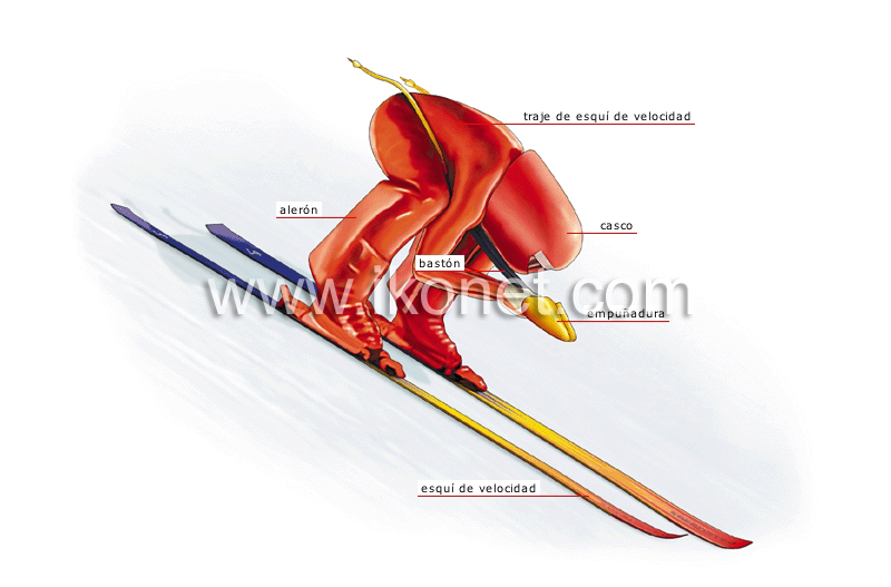 esquiador de velocidad image