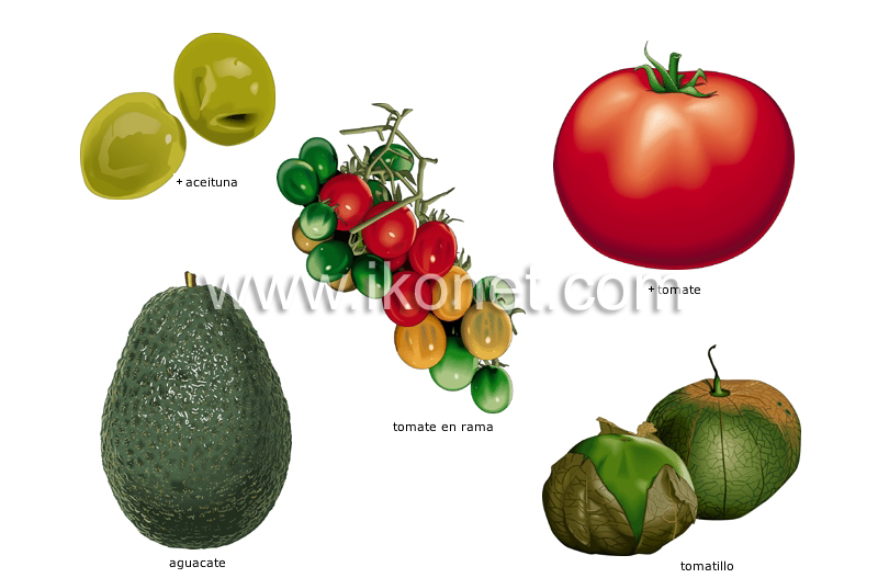 hortalizas de fruto image