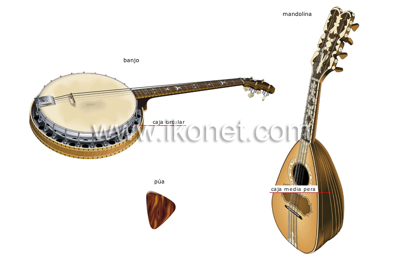 instrumentos musicales tradicionales image