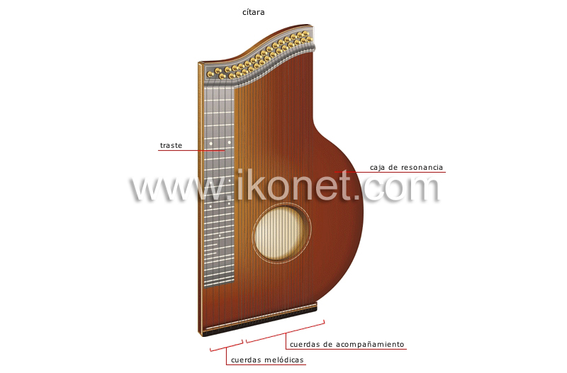 instrumentos musicales tradicionales image