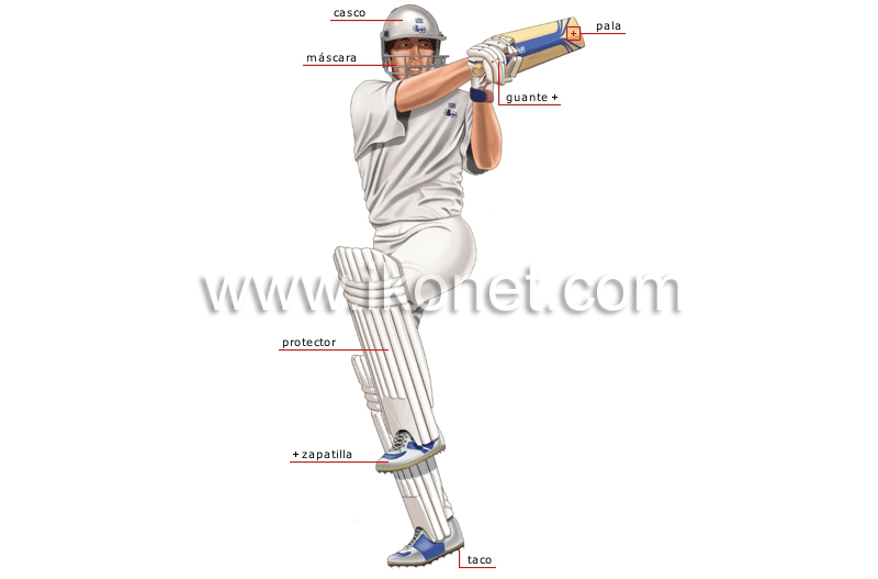 jugador de críquet : bateador image