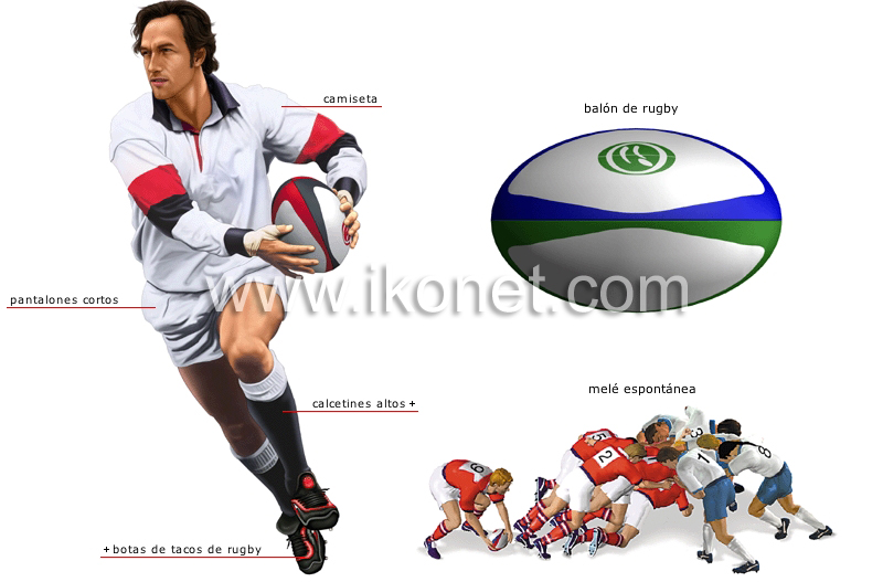 jugador de rugby image