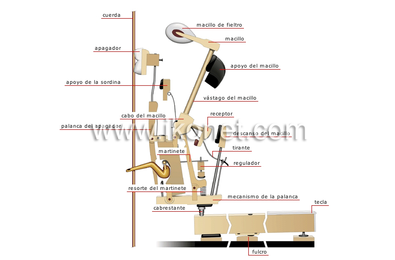 mecanismo del piano vertical image