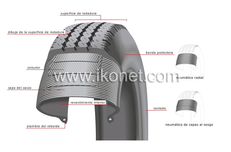 neumático radial con cinturones image