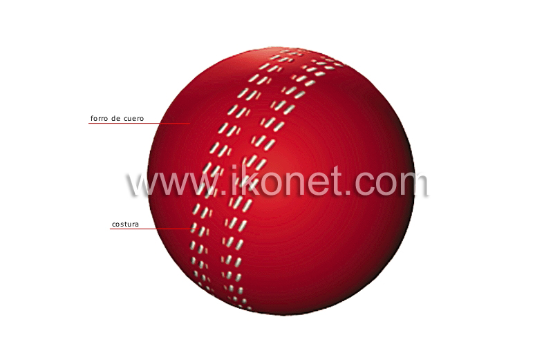 pelota de cricket image
